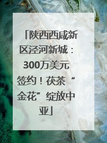 陕西西咸新区泾河新城：300万美元签约！茯茶“金花”绽放中亚